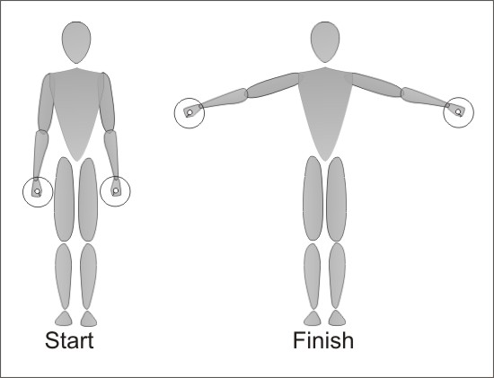 Dumbell Lateral Raise